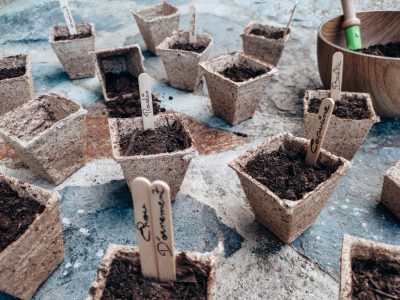 Le jardin pédagogique : semer, attendre, récolter