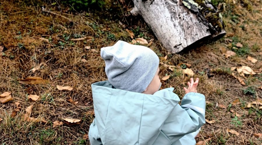 Des enfants jouent dehors, dans la nature.