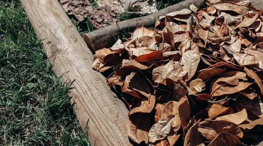 Suite du parcours sensoriel : cases de mousse, d'écorces plates et de feuilles mortes, bordées de rondins, dans l'herbe.