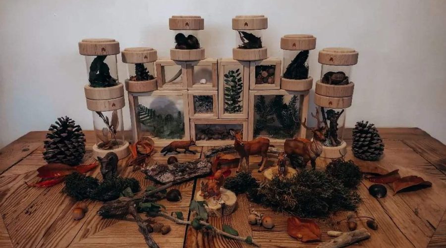 Table des saisons en bois : cloches vitrées remplies de feuilles, de glands et de mousse, petite cabane garnie de fougère et de sapin, figurines de renard, de cerf et d'écureuil, pommes de pin et bois flotté.